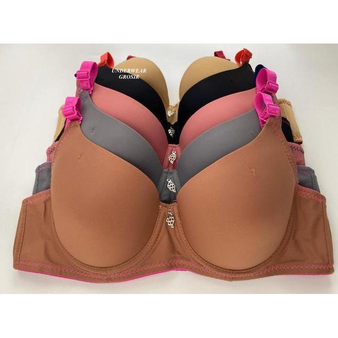 Promo 5 PCS  BH Bra Kawat Push Up Busa Tipis Polos Cup A Kait 2 | Size 32 34 36 38