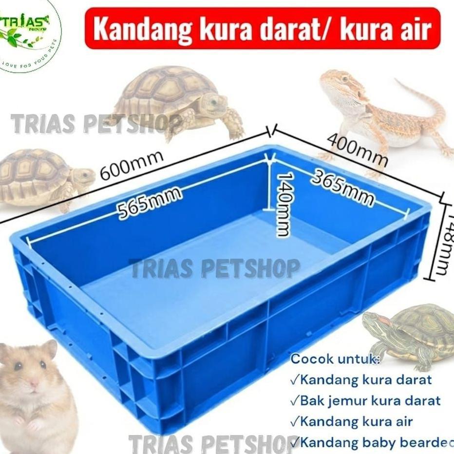 Kandang Kura Darat Box Plastik Tebal Cocok Untuk Sulcata Baby & Reptil Kecil-Kandang Reptil Serbagun