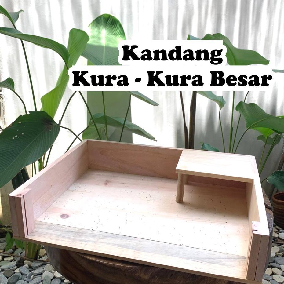 Kandang Kura Kura Besar Kandang Sulcata Kandang Reptil Rumah Hewan Peliharaan