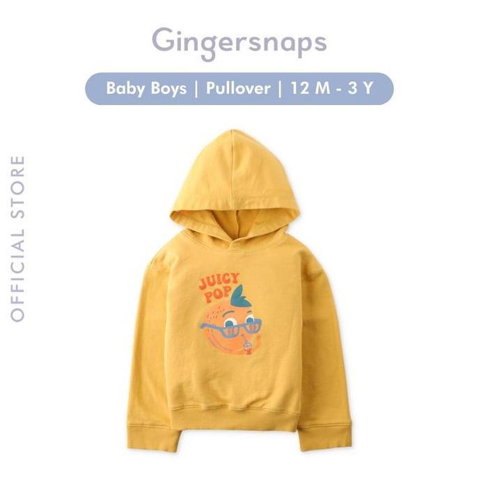 Gingersnaps Baby Hodgepodge Pullover - Jaket Bayi Laki-laki