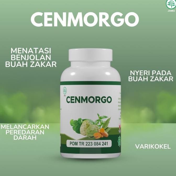 Cenmorgo Untuk buah zakar bengkak , nyeri buah zakar, nyeri perut bawah, varikokel