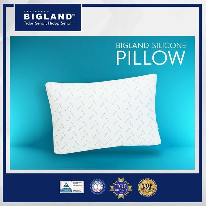 Bigland Bantal Kepala Silicon