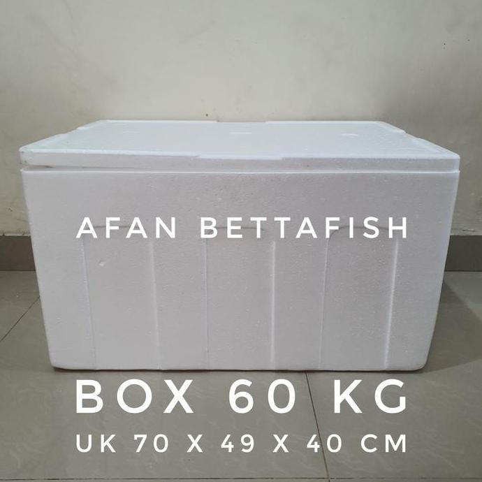 STYROFOAM BOX 60KG 70 x 49 x 40 CM BOX STEREFOAM 60 KG