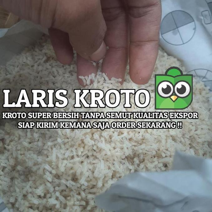 OK KROTO SUPER BERSIH TANPA SEMUT 1.5 ONS | KROTO SUPER KERING INSTANT //