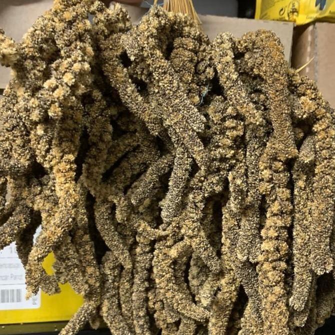 '' JEWAWUT TANGKAI HITAM 1 KG JEWAWUT GANTUNG MAKANAN FINCH PARKIT LB DLL ''
