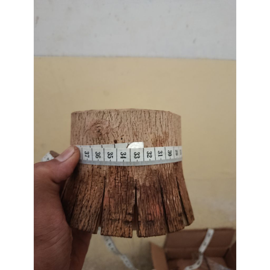 bahan sancang jumbo fresh