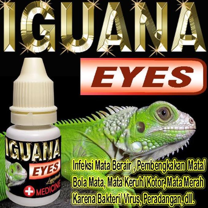 IGUANA EYES OBAT MATA REPTILE BENGKAK BERAIR MERAH MATA TERTUTUP KATARAK PERADANGAN INFKESI OBAT TET