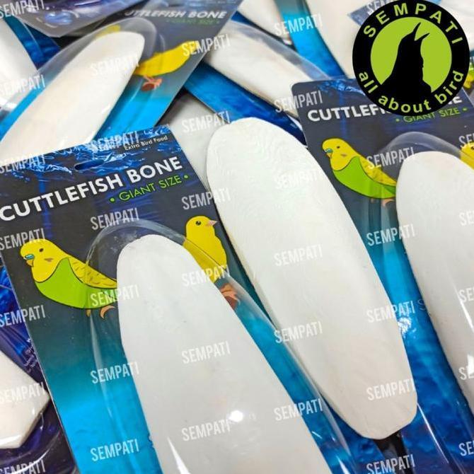 Cuttlefish Bone Tulang Sotong Asinan Burung Cumi Super Jumbo Premium