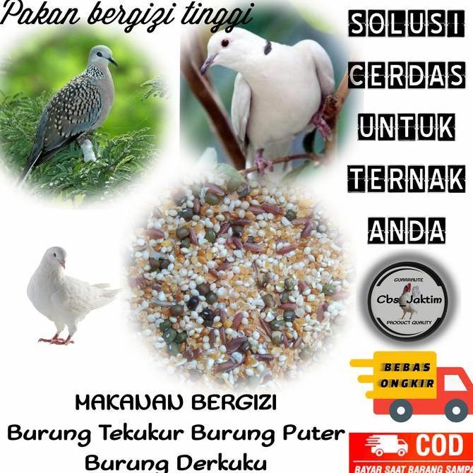 Pakan Burung Tekukur/Derkuku/Puter Pelung Bergizi Tinggi