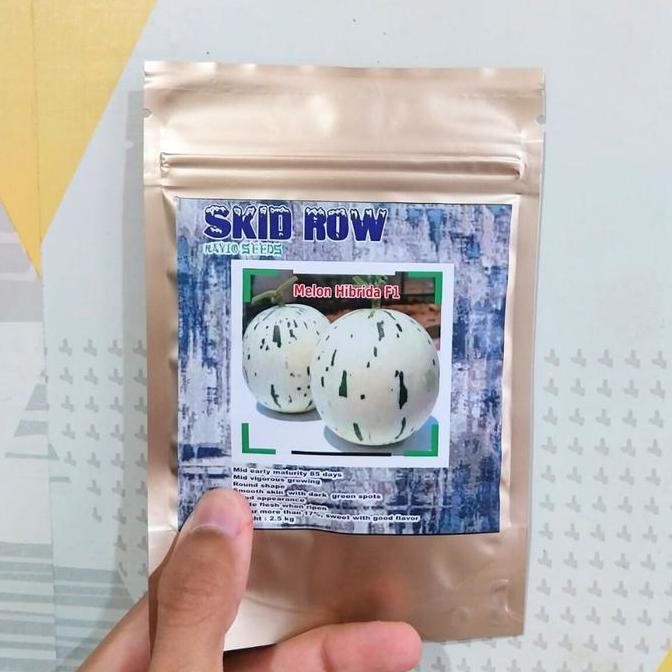 NEW RAJA INDO ORI BENIH F1 Melon SKID ROW 10 GRAM Biji Melon Ekslusif Bibit Melon Premium Renyah Bul