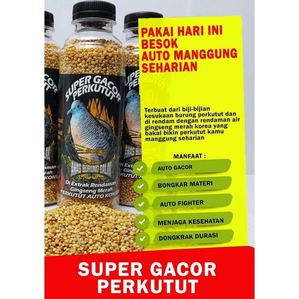 Pakan Perkutut Super Gacor Perkutut Auto Manggung