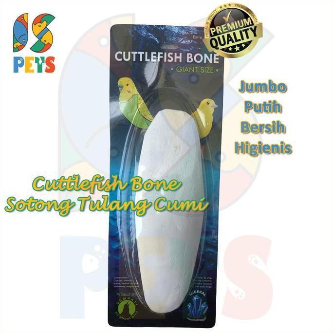 Cuttlefish Bone Tulang Sotong Cangkang Asinan Cumi Premium Super Jumbo