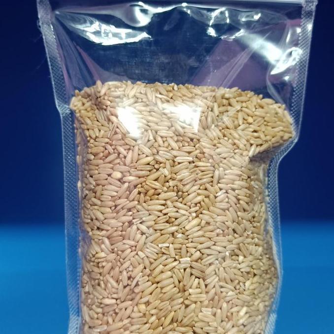 Haver Seed Kupas 500 Gr - Pakan Burung Lovebird Kenari Falk Sunconure