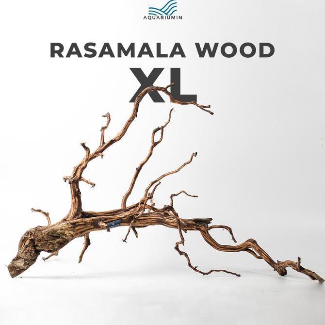 Afterday- Akar Kayu Rasamala Size Xl Aquarium / Aquascape