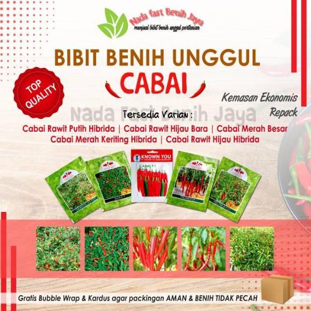 Benih Cabe Rawit - Bibit Cabe Keriting - Benih Cabe Merah Besar - Benih Cabe Rawit Setan Unggulan