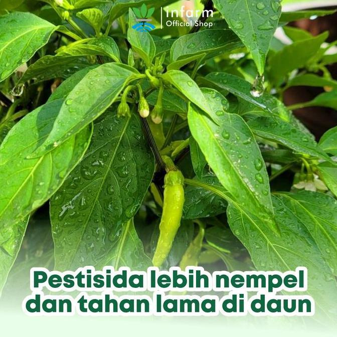 Infarm - Paket Pestisida Nabati Organik 500 Ml Dan Eco Grip Perekat Pestisida Lebih Nempel & Efektif