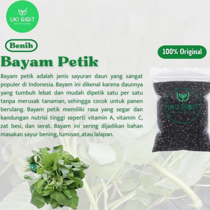 Newcastel- ( 10 Gram ) Benih Biji Bayam Petik | Bayam Kakap | Bayam Daun Lebar
