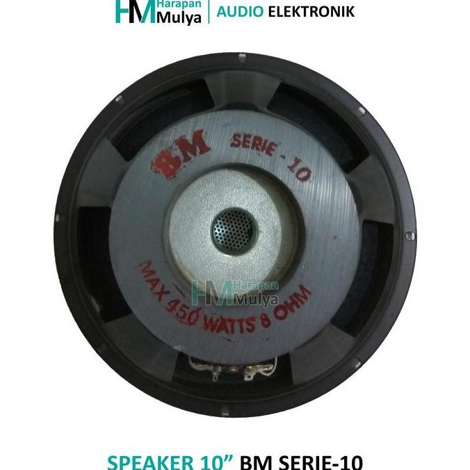 BM SERIE-10 Speaker Subwoofer 10" / Spiker 10 inch Double Magnet