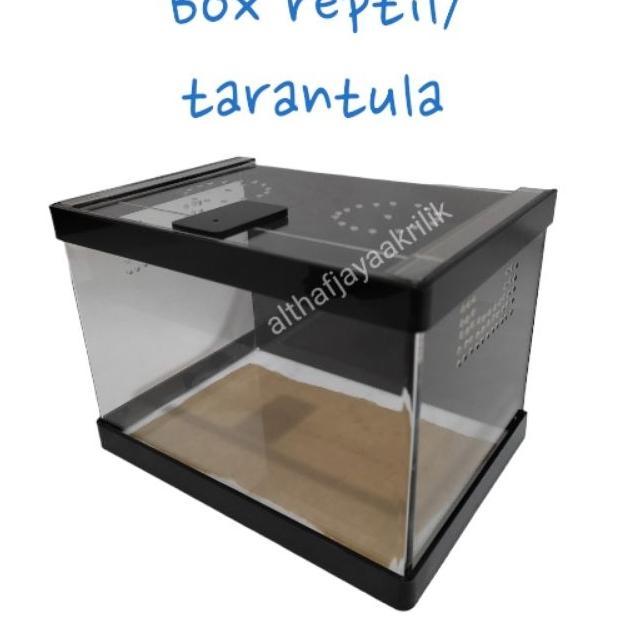 Kotak Reptil / Kandang Reptil Akrilik
