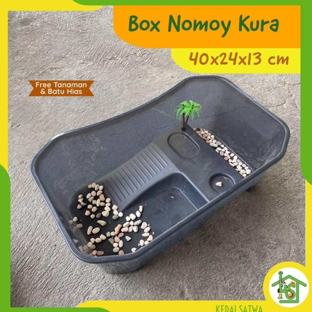 Box Nomoy Kura-Kura Air Brazil Dada Merah| Kandang Kura-Kura | Tempat Kura Kedai Satwa