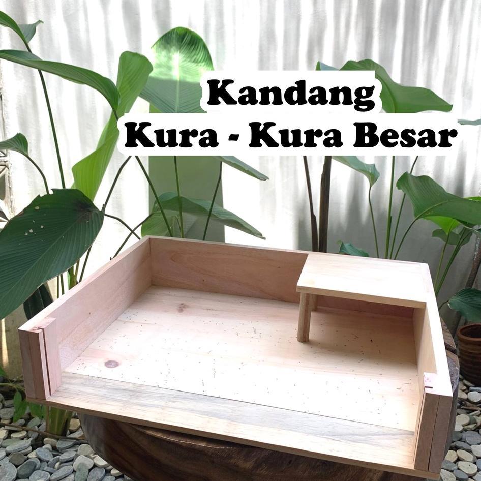 Kandang Kura Kura Besar Kandang Sulcata Kandang Reptil Rumah Hewan Peliharaan