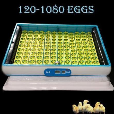 TERBESAR 120 EGG INCUBATOR PENETAS TELUR OTOMATIS HUMIDITY CONTROL