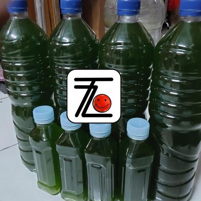 CHLORELLA PYRENOIDOSA - AIR HIJAU