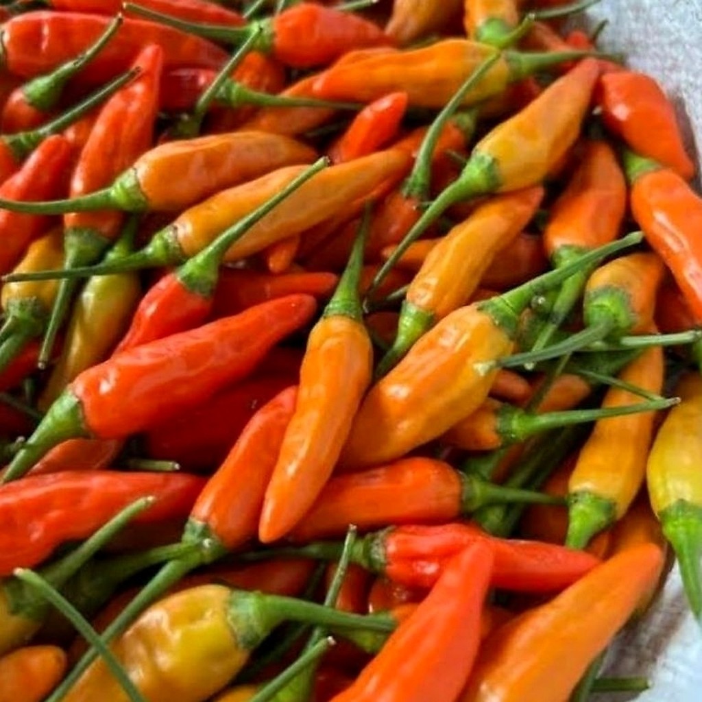 1kg Cabe rawit 1 kg Cabai segar - Surabaya
