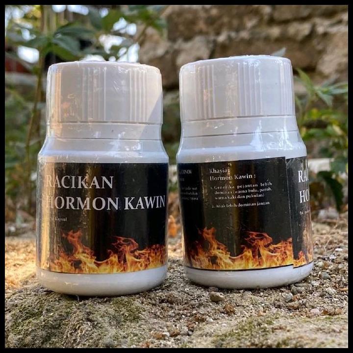 Harga Promo Ernov Hormon Kawin 30 Kapsul - Obat Hormon Kawin New Formula Untuk Ayam Aduan Keturunan 