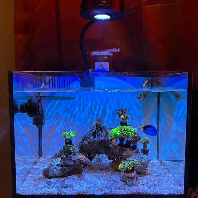Aqua Knight V2 Spectra LED ( 36 Watt Full Spectrum )