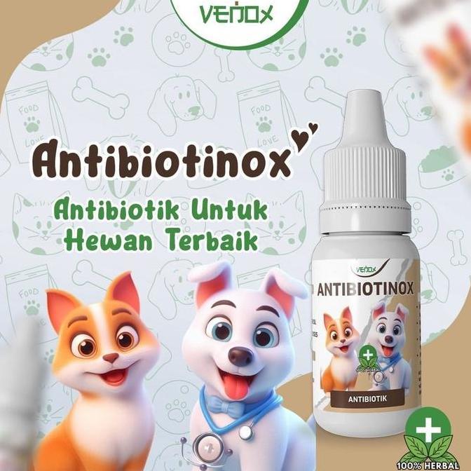 Gato - Antibiotinox Obat Antibiotik Kucing Anjing Virus Infeksi Bakteri