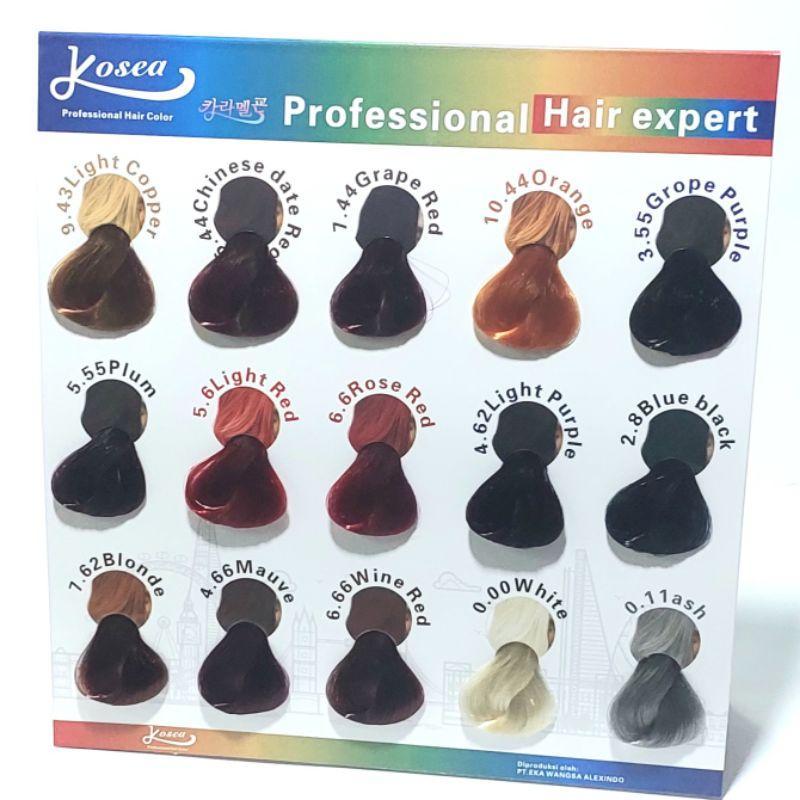 Kosea Katalog Cat Rambut Lembaran/Buku Contoh Warna