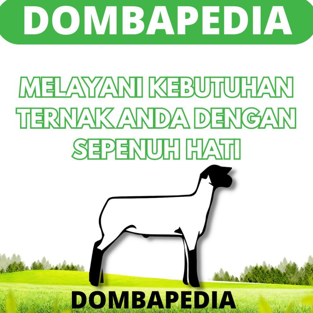 Stok Ready Pantex Dexamethasone 100 Ml - Obat Hewan Anti Radang Anti Inflamasi Ternak Sapi Kambing A