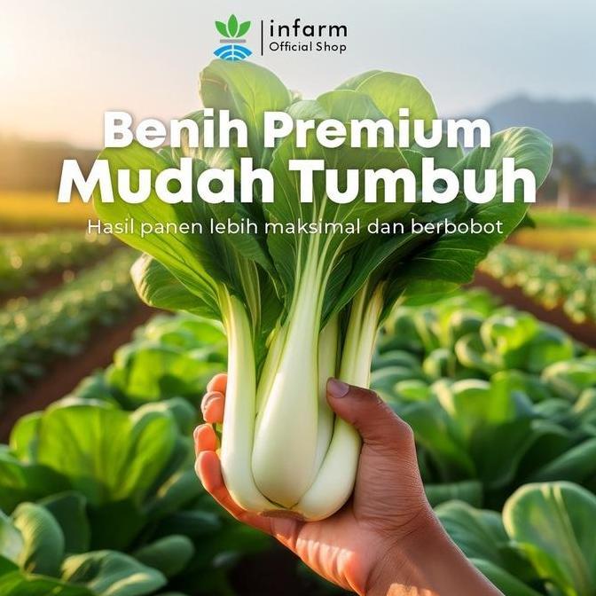 INFARM - Benih Buah Blewah Muskmelo, Bibit Super Buah Blewah Benih Unggul Buah Blewah Manis Premium