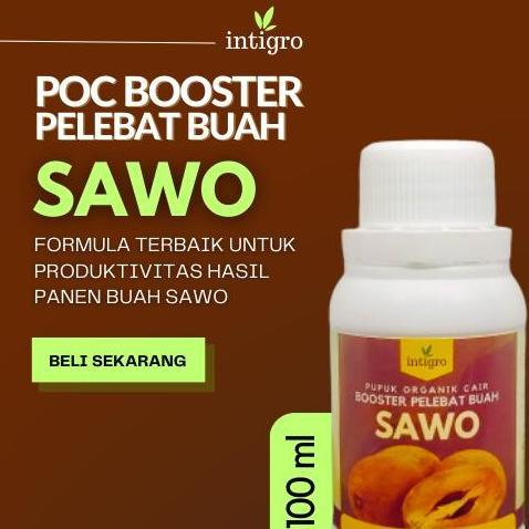 Pupuk Sawo Agar Cepat Berbuah Lebat Booster Pelebat Buah Sawo Manila Formula Hormon ZPT Pemacu Peran