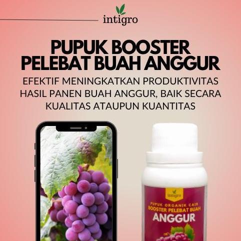 Pupuk Anggur Booster Cepat Berbuah / Pupuk Booster Pelebat Buah Anggur