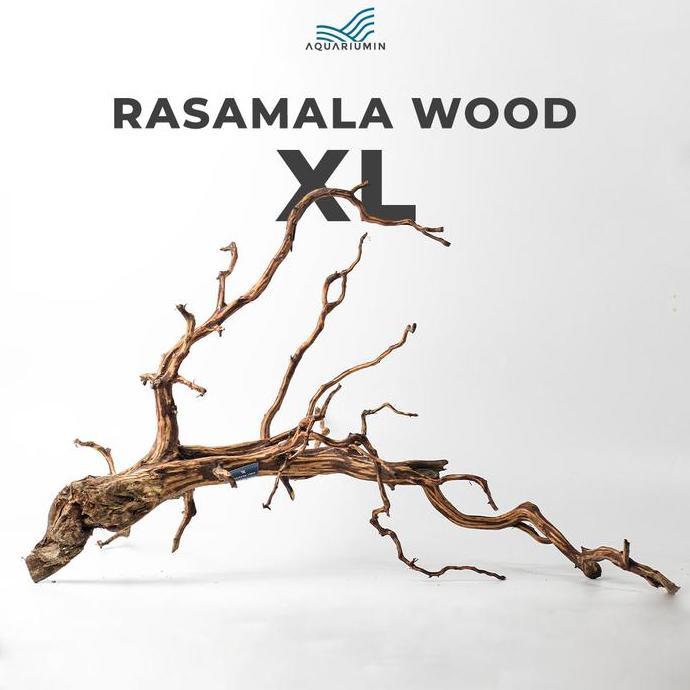 Akar Kayu Rasamala Size XL Aquarium / Aquascape