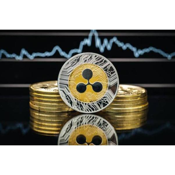 CHICKLEP Coin Koin Fisik Crypto Seni Doge Ethereum Shiba Ripple Bitcoin Binance