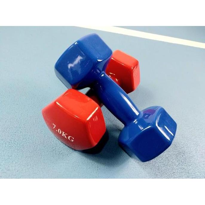 TERMURAH - Dumble Vinyl 7kg