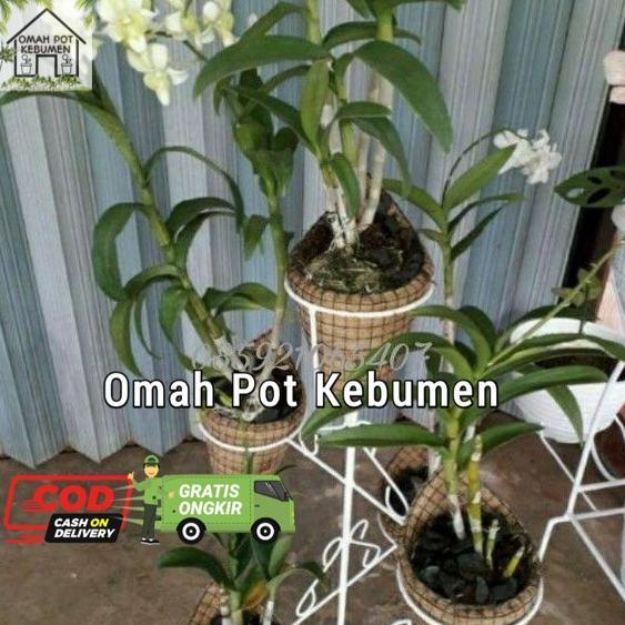 Readyyy (omah pot) POT ANGGREK RAK POT DUDUK TEMPEL DINDING SABUT KELAPA