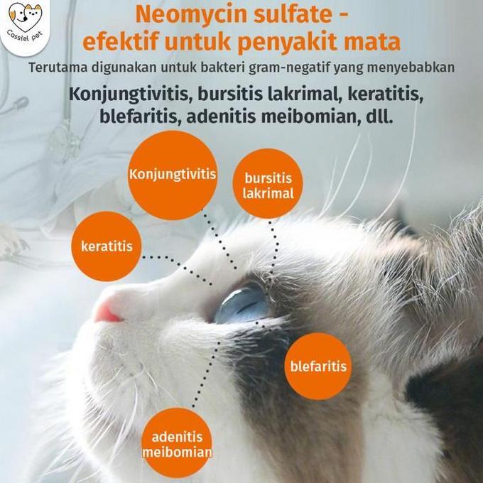 cassiel pet obat tetes mata dan cairan pencuci mata untuk kucing dan anjing, digunakan untuk belekan