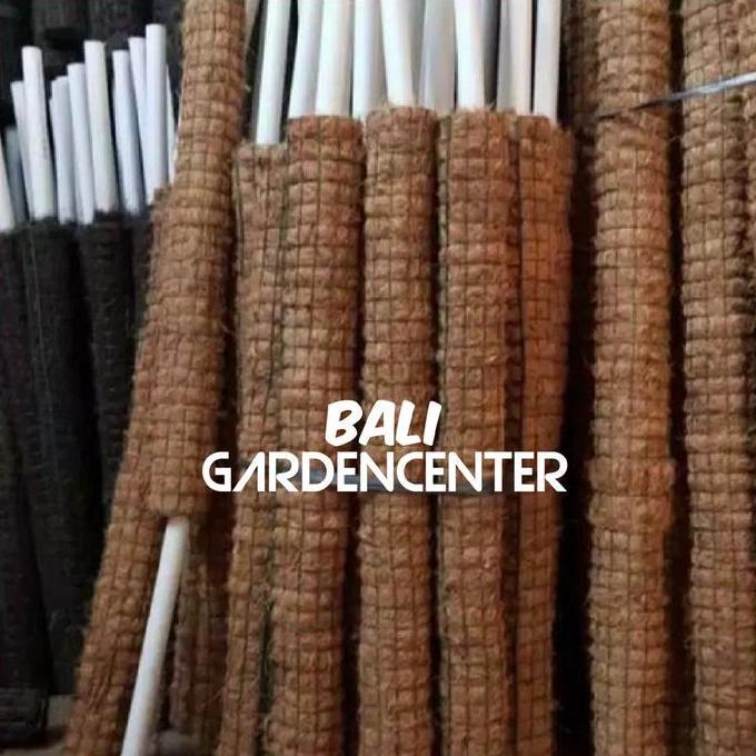 Turus Penyangga Tanaman Rambat - Turus Rambatan Tanaman