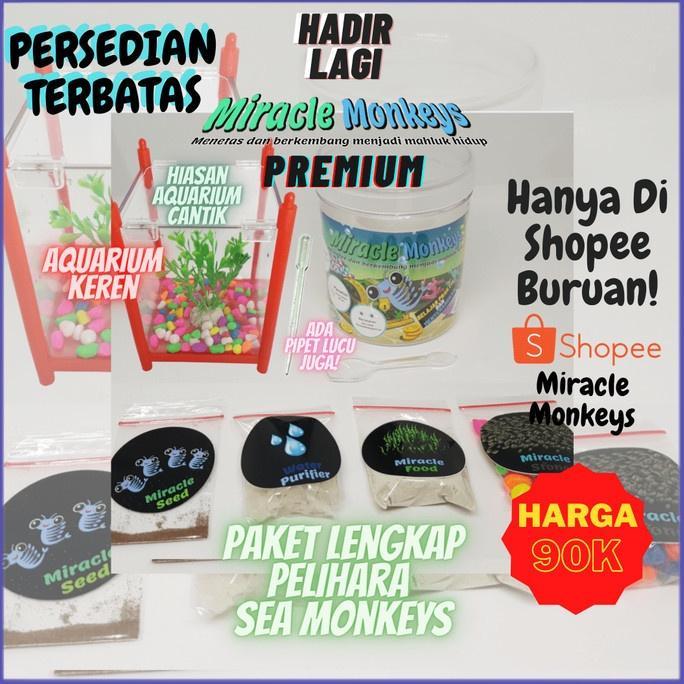COD Miracle Monkeys Premium - Peliharaan Ajaib Sea Monkey