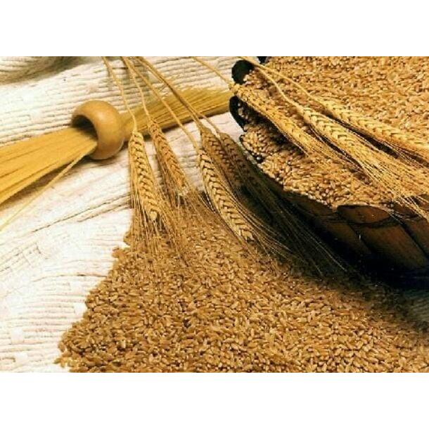 Beras GANDUM 1kg import MAROKO