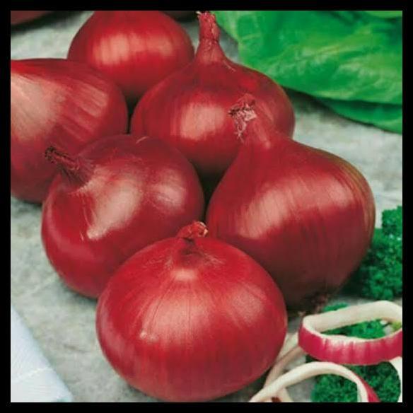Terbaru|Best Seller Bawang Bombay Merah Segar - 500 Gram
