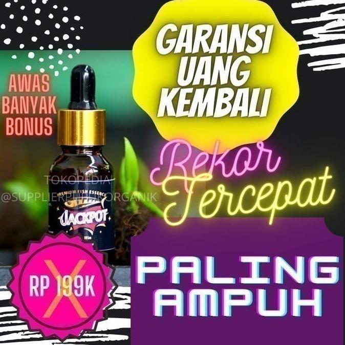 Essen Lele Galatama,Essen Lele Galatama dan Harian,Essen Lele Premium2