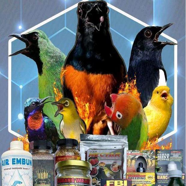 Suplemen KENARI VIT vitamin burung kenari/vitamin burung/Suplemen Burung/Vitamin