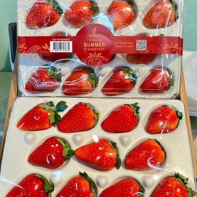 TERBARU|TERMURAH|BARU|PREMIUM|TERLARIS|GARANSI|DISKON|PROMO BUAH STRAWBERRY KOREA ELOASIS PREMIUM RE