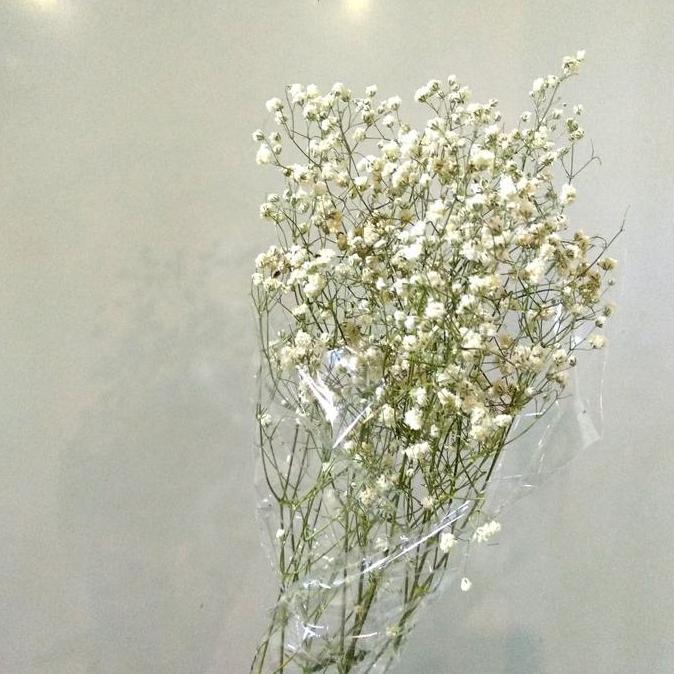 Fiore- Baby Breath Dried / Dried Gysophila
