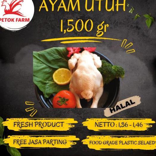 Ayam Karkas / Ayam Potong / Ayam Broiler Ukuran 1.500 gr